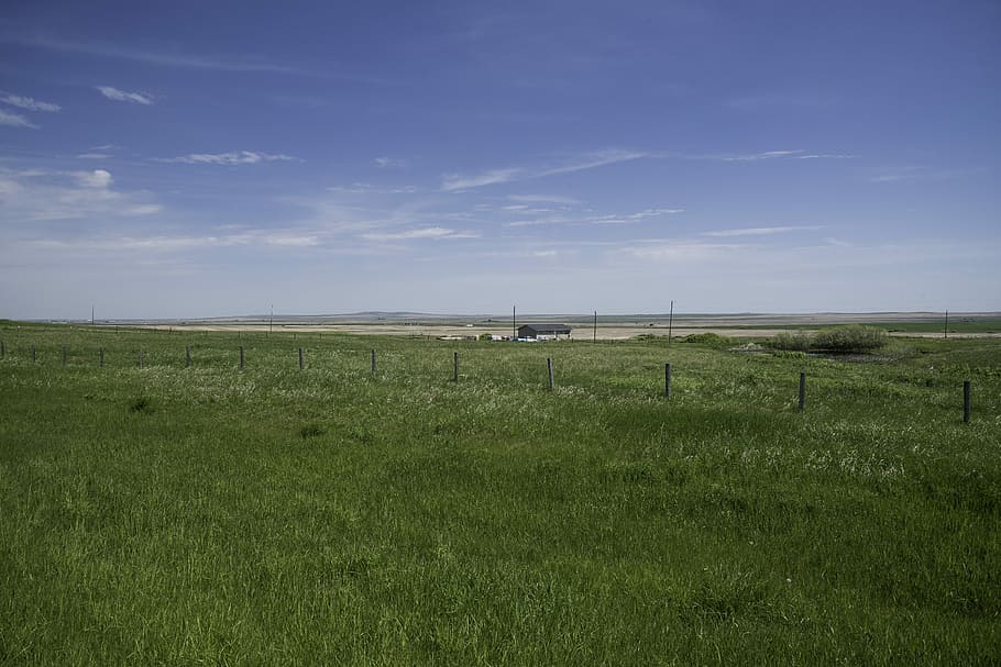 Grassland, Farm, and skies landscape in Alberta, canada, landscapes HD wallpaper