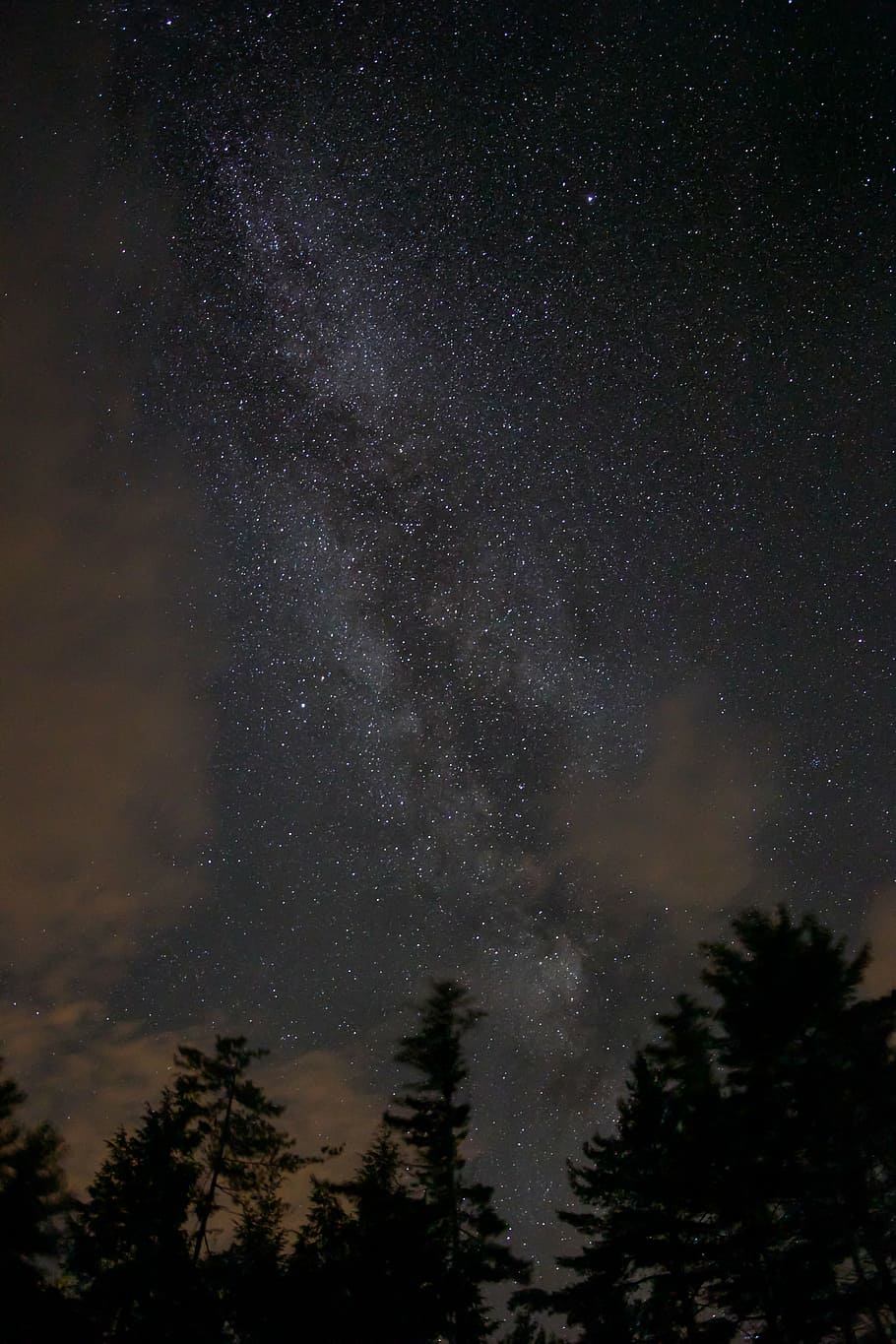 low angle shot, night, sky, starry sky, stars, trees, astronomy HD wallpaper
