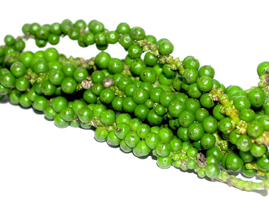antioxidant, aromatic, bell pepper, black, black pepper, circle HD wallpaper