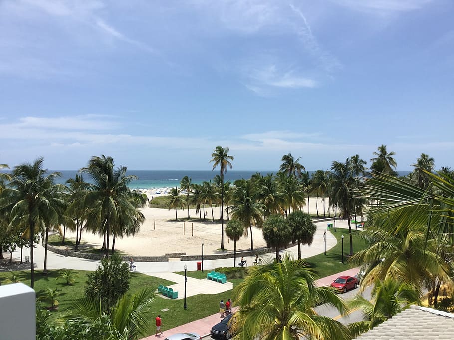 miami, beach, palms, palm trees, resort, sea, ocean, holidays HD wallpaper