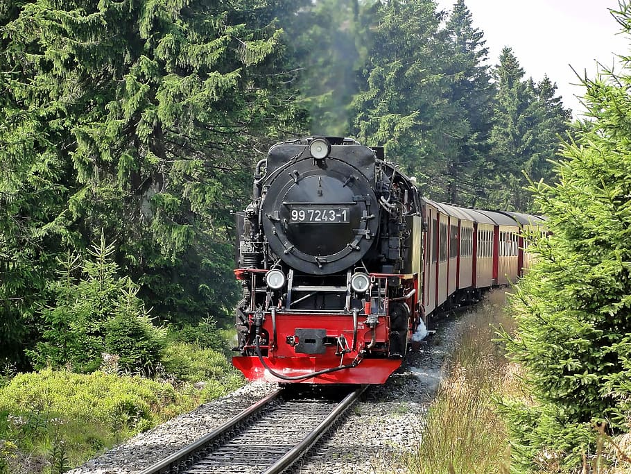 red and black train on railings surrounded by trees, Technology HD wallpaper