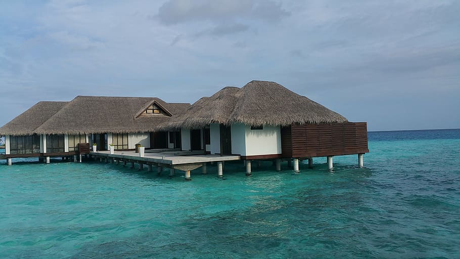 white and brown wooden nipa hut houses, maldives, holiday, beach, HD wallpaper