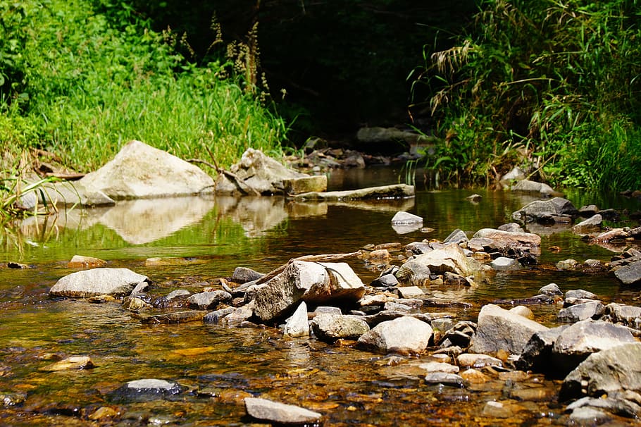 water, river, bach, waters, nature, stones, wet, rock, solid HD wallpaper