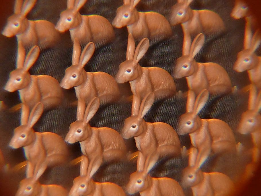 Hare, Kaleidoscope, Art, no people, close-up, day, outdoors HD wallpaper
