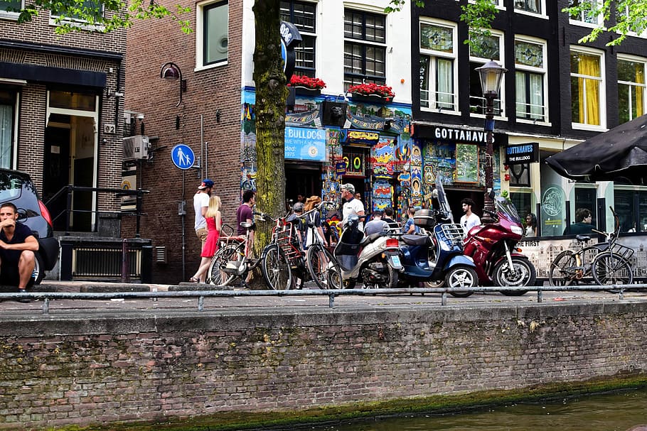 Cafe, Coffee Shop, Amsterdam, holland, netherlands, street, HD wallpaper