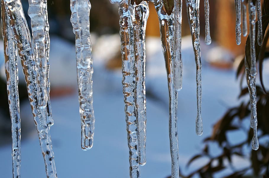 close-up photography of ice, ice age, icicle, winter, cold HD wallpaper