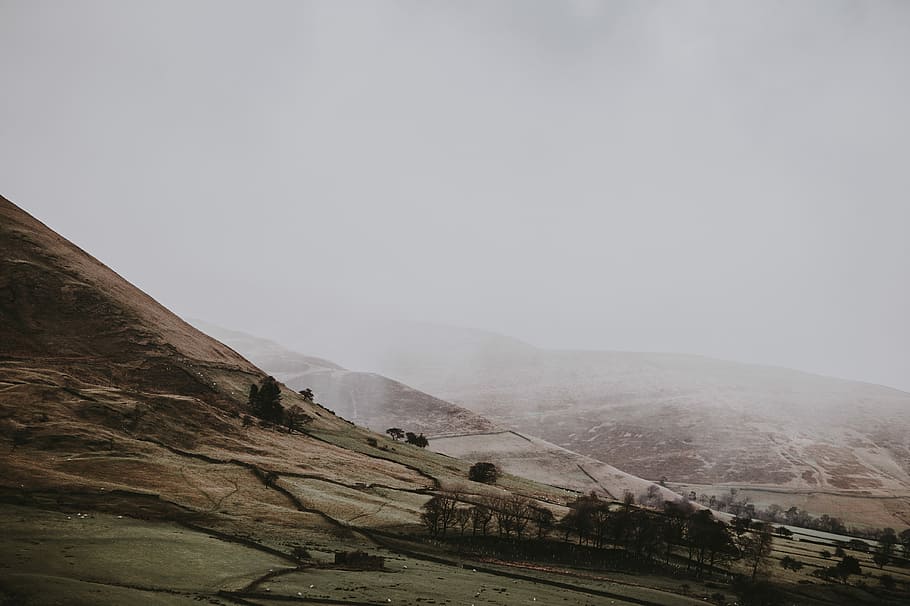 fog over brown mountains, trees on hill, mist, landscape, environment HD wallpaper