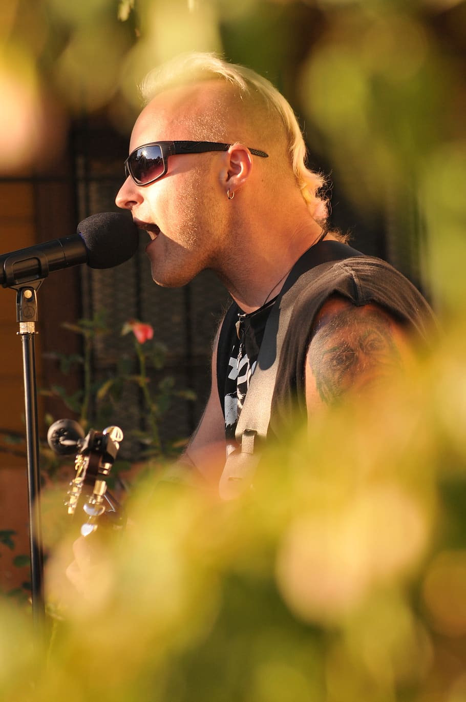 singing, music, performance, entertainment, song, musician HD wallpaper