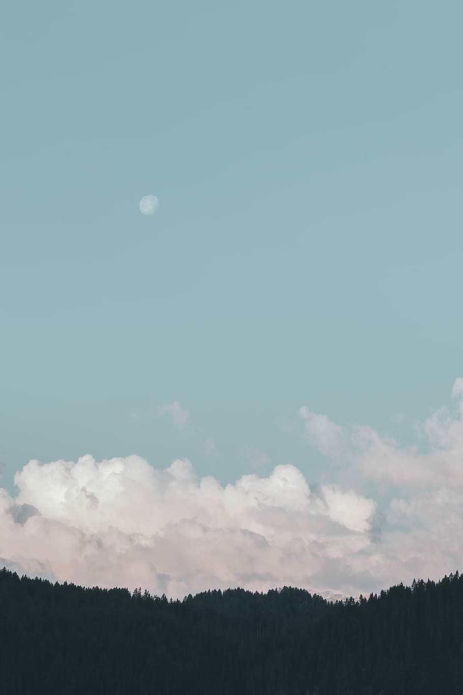 visible moon during daytime, view of moon over white clouds on top of silhouette of trees HD wallpaper