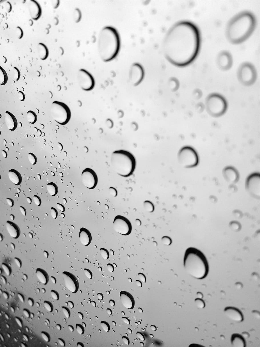 rain, drops, wet, rolling off, water, liquid, splash, clear HD wallpaper