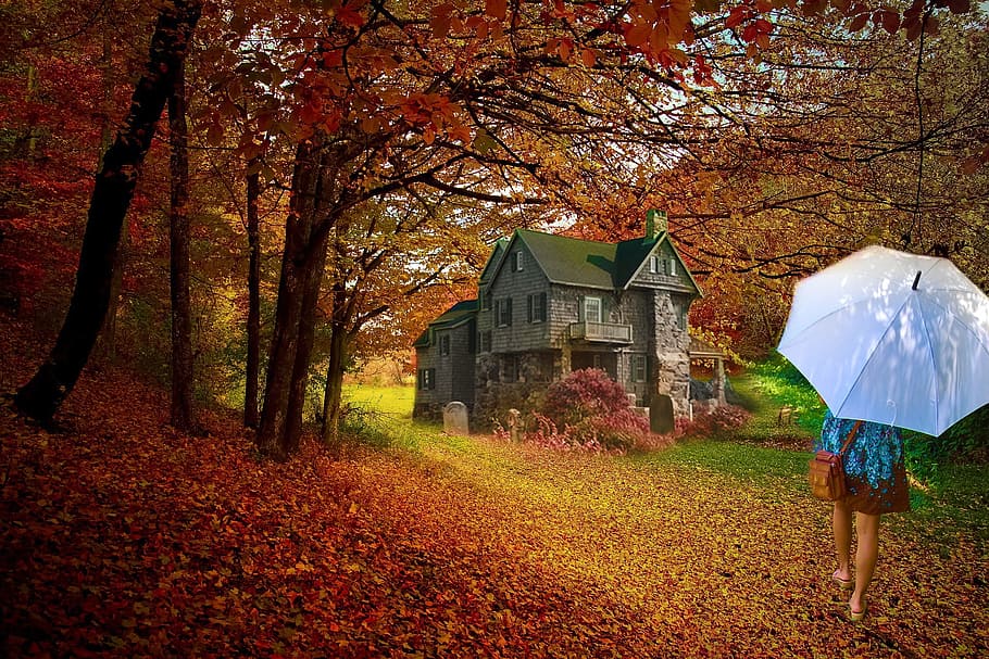 tree, fall, nature, wood, leaf, outdoors, season, grass, people HD wallpaper