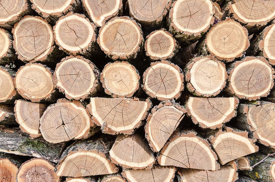 background, design, wood, timber, log, firewood, lumber industry HD wallpaper