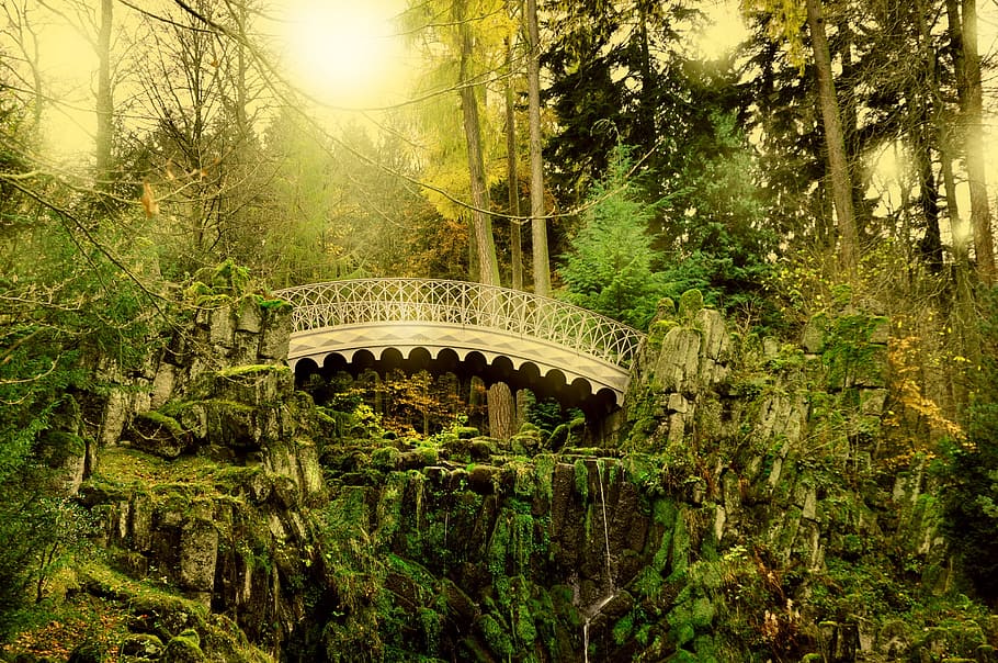 photo of brown bridge in forest, sun, water, landscape, mood HD wallpaper