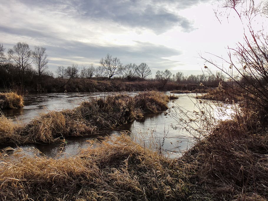 river, winter, no snow, landscape, reeds, seasons of the year HD wallpaper