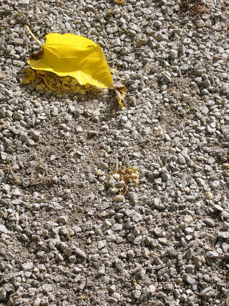 autumn, leaf, stones, yellow, nature, no people, textured, solid HD wallpaper