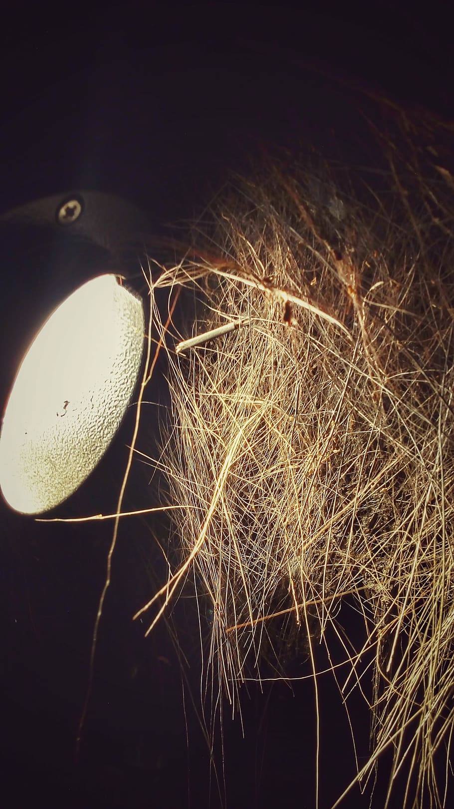 light, lamp, wood, autofocus, nature, illuminated, night, no people HD wallpaper