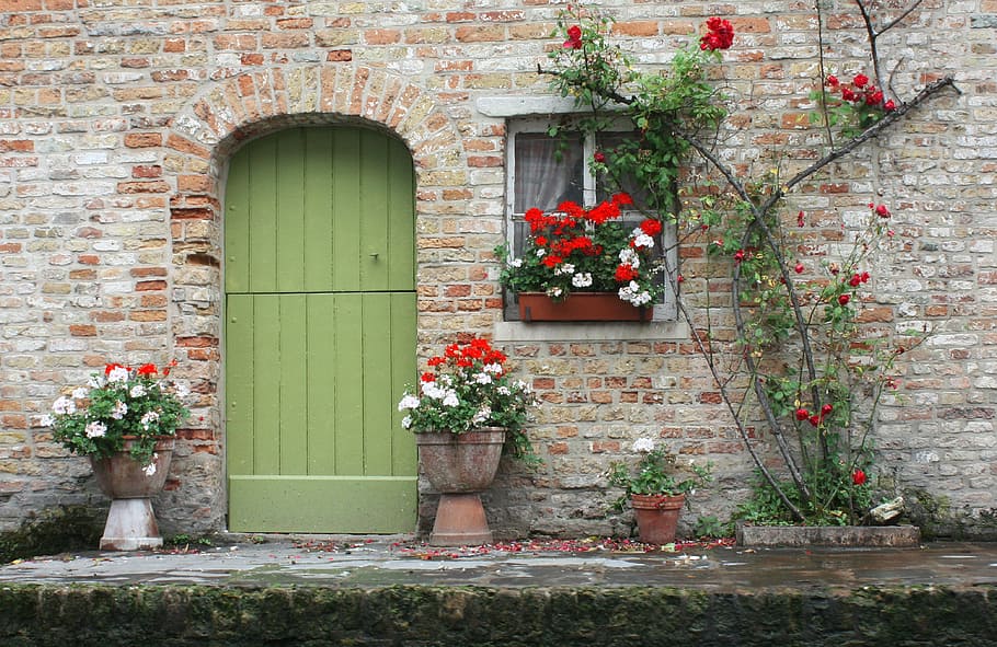 white and red petaled flowers on bricked wall, house, door, historical centre