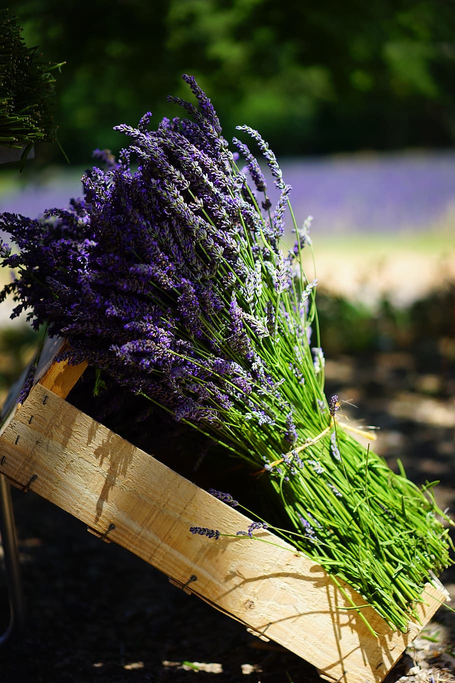 lavenders on brown wooden crate, tufts, sale, blue, bouquet, posy, HD wallpaper