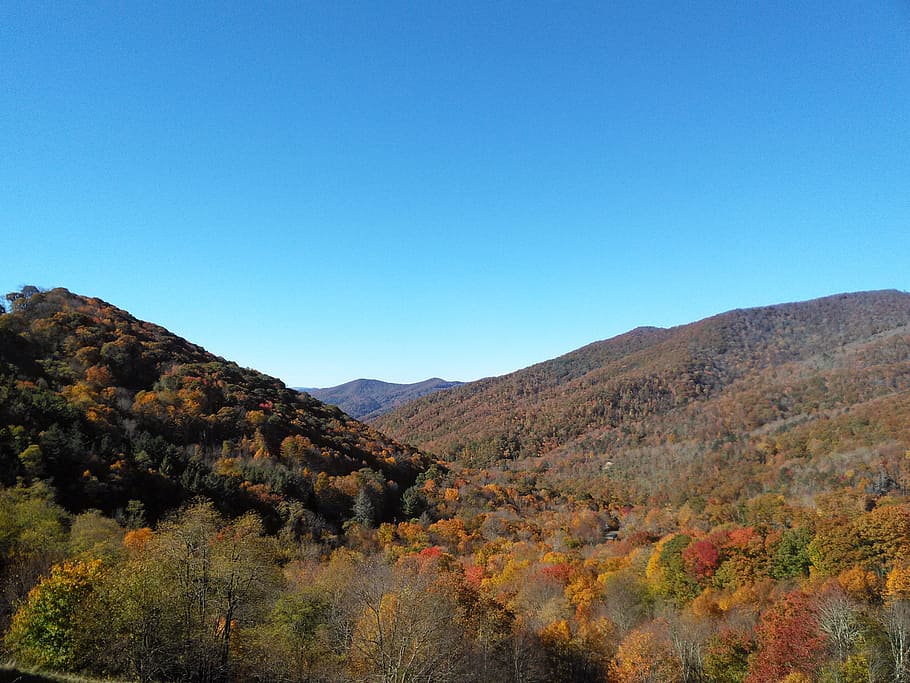 mountains, trees, autumn, sky, tranquility, scenics - nature HD wallpaper