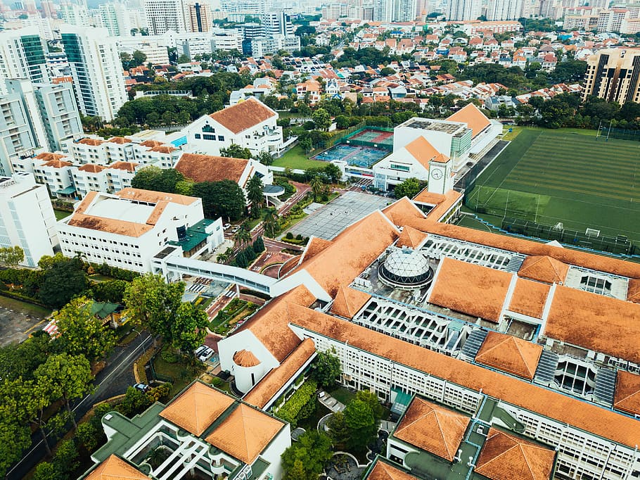 aerial photo of buildings, roof, rooftop, tree, city, built structure HD wallpaper