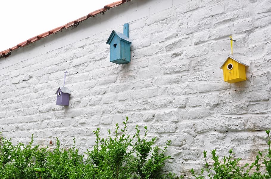 triangular composition, birdhouse, buxus, built structure, architecture HD wallpaper