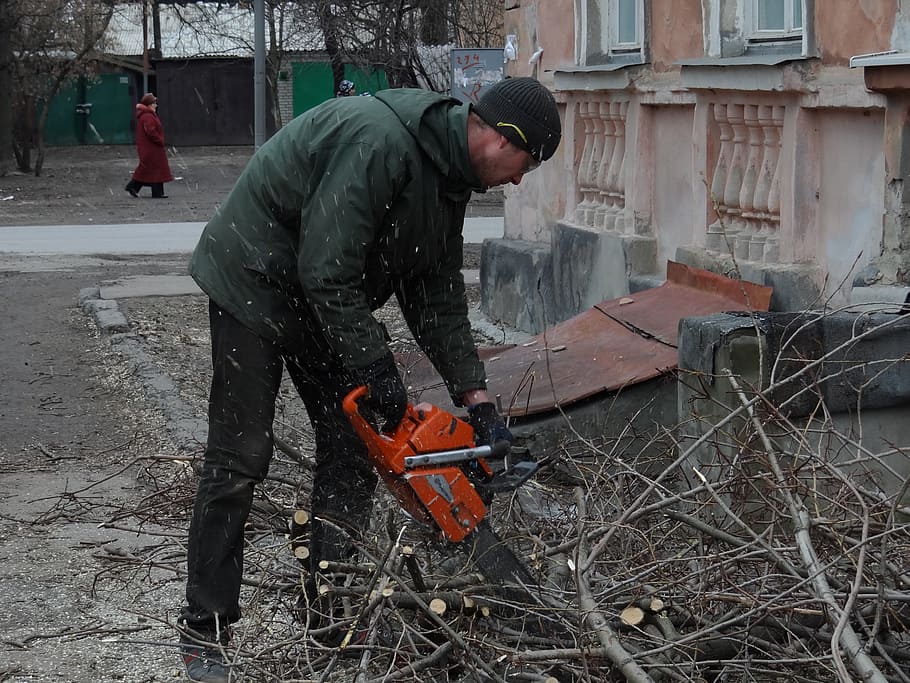 Cut, Old, Tree, Felling, saw cut, trees, old tree, winter, working HD wallpaper