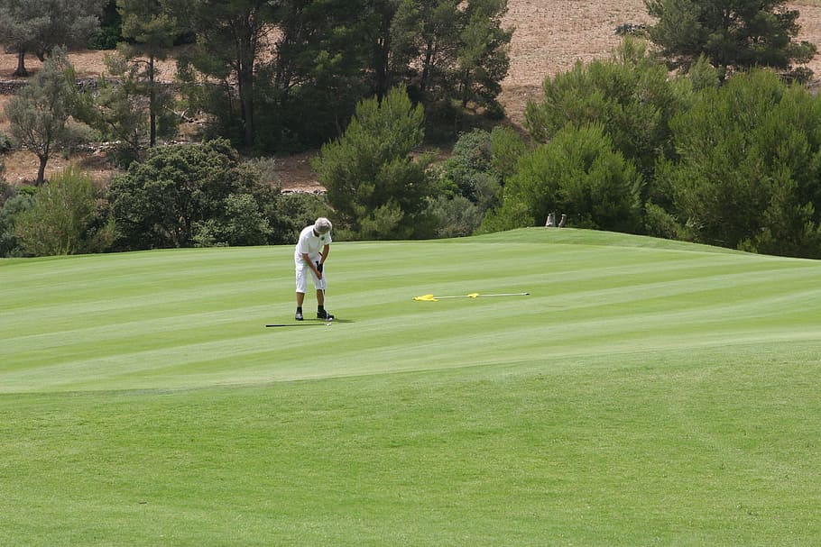 man playing golf on field, Putt, Sport, golfer, putting, golfing HD wallpaper
