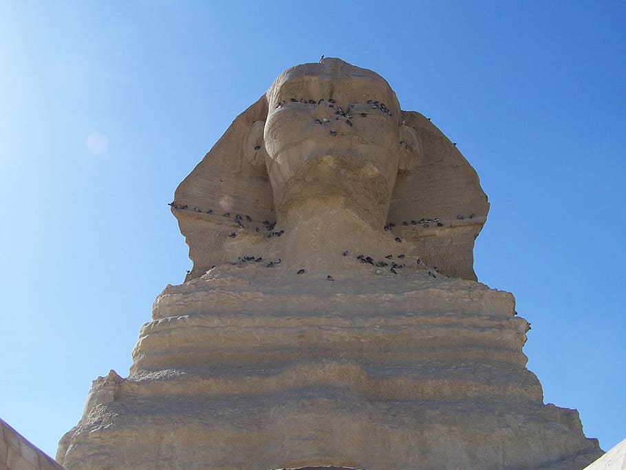 the sphinx, giza, egypt, cairo, egyptian, desert, archeology HD wallpaper