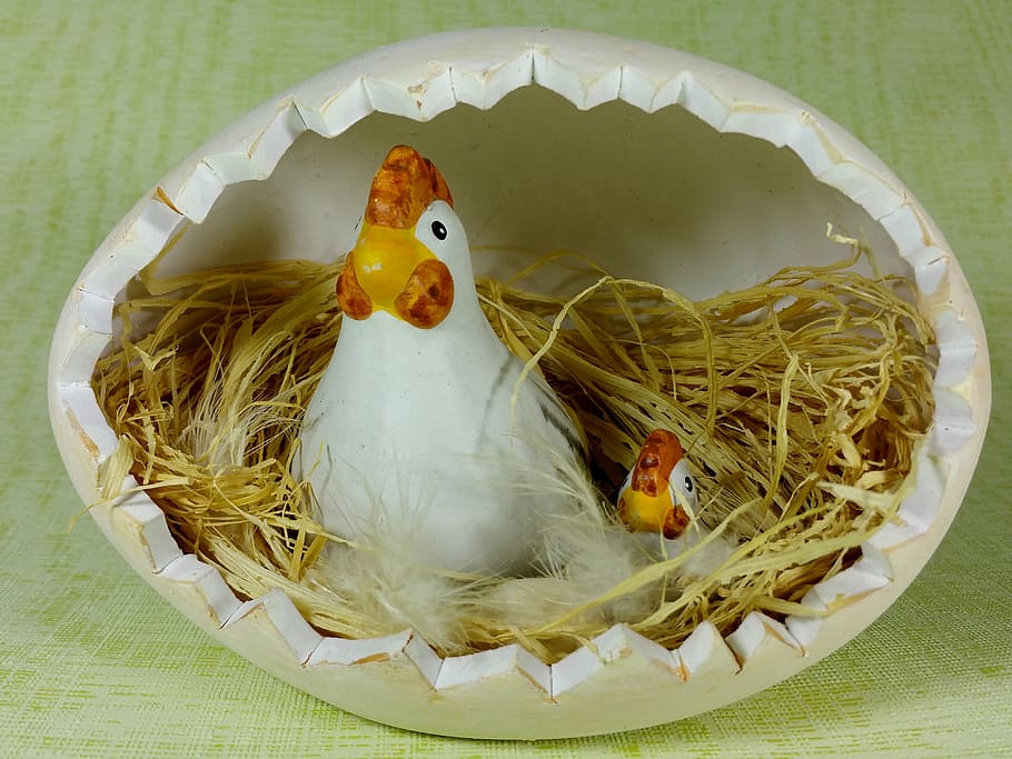 easter, hen, chicken, chicks, egg, animal Nest, bird, decoration HD wallpaper