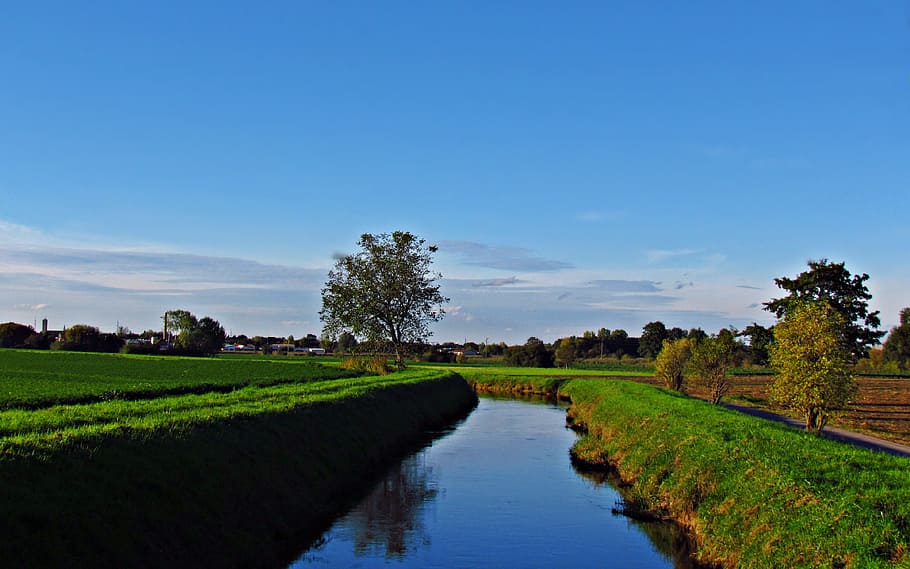 river, field, the brook, grass, spring, meadow, landscape, nature HD wallpaper