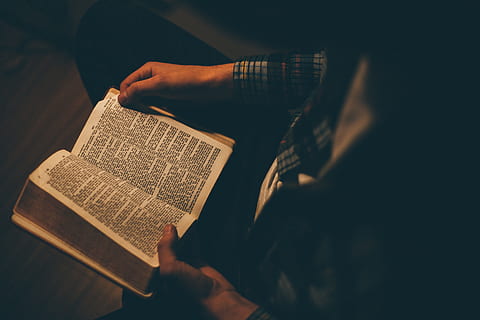 person reading book, people, man, sitting, alone, holy, bible HD wallpaper