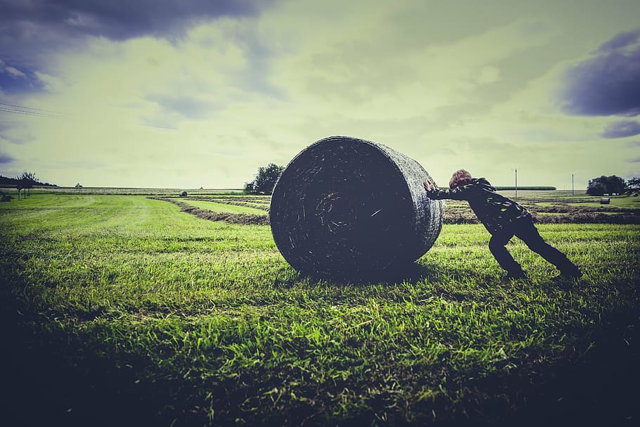 person pushing bale of hay, green, grass, lawn, field, nature HD wallpaper