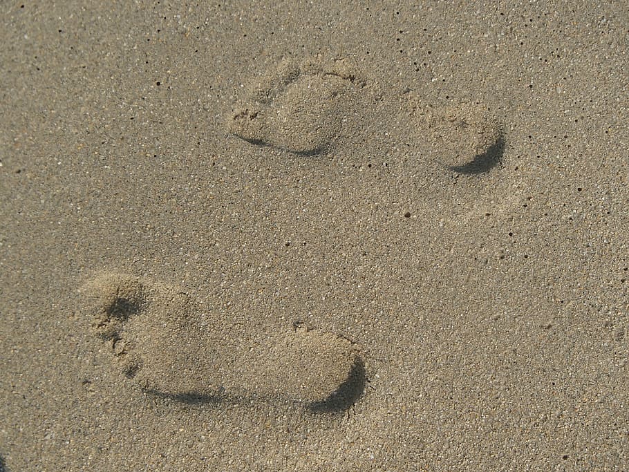 fingerprint, steps, sand, trip, land, beach, high angle view HD wallpaper