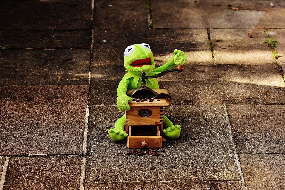 kermit, frog, grinder, coffee beans, funny, cute, toys, green HD wallpaper