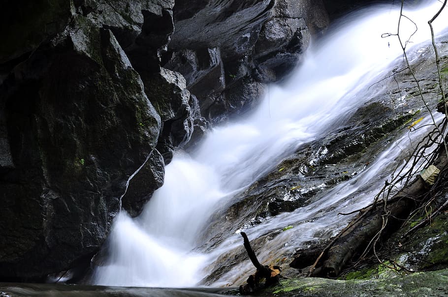 Waterfalls Stream, branches, cascade, flow, landscape, motion HD wallpaper