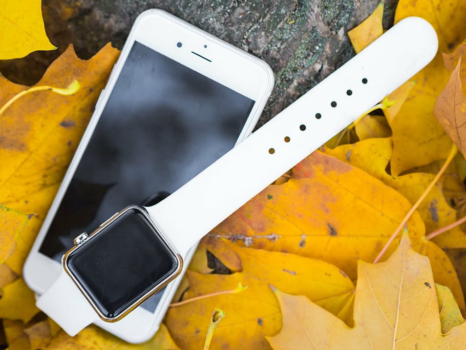 iphone, iwatch, smartphone, smartwatch, screen, white, up, mock up HD wallpaper
