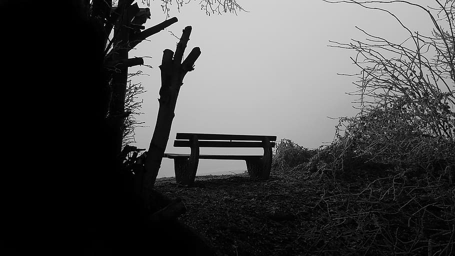 Forest break. Природа Тихая в черных оттенках. Quietness Tree. Стих Сумерки Сумерки Вешние блок. Блок Сумерки Сумерки Вешние анализ.