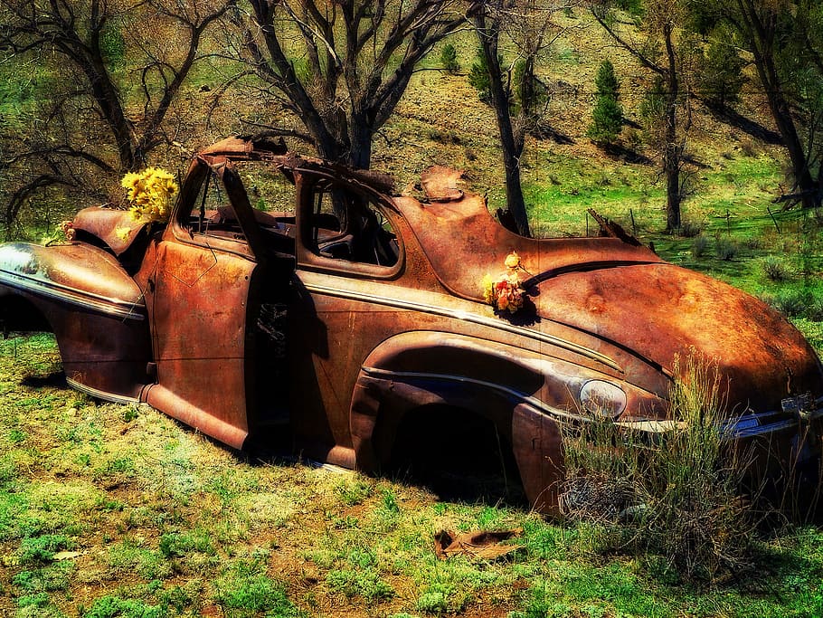 old, rusty, car, oldsmobile, automobile, corrosion, vehicle HD wallpaper