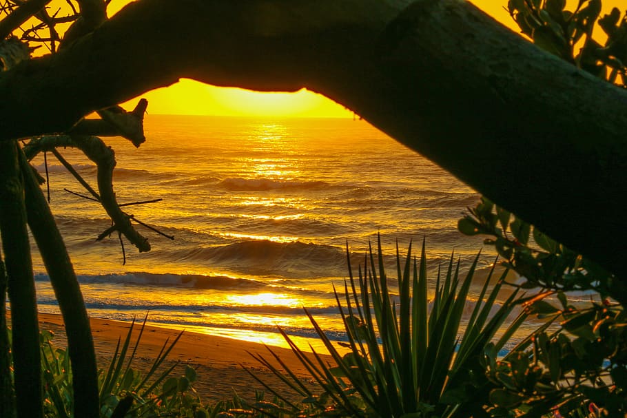sea, sun, setting, glow, orange, sky, beach, ocean, sunset HD wallpaper
