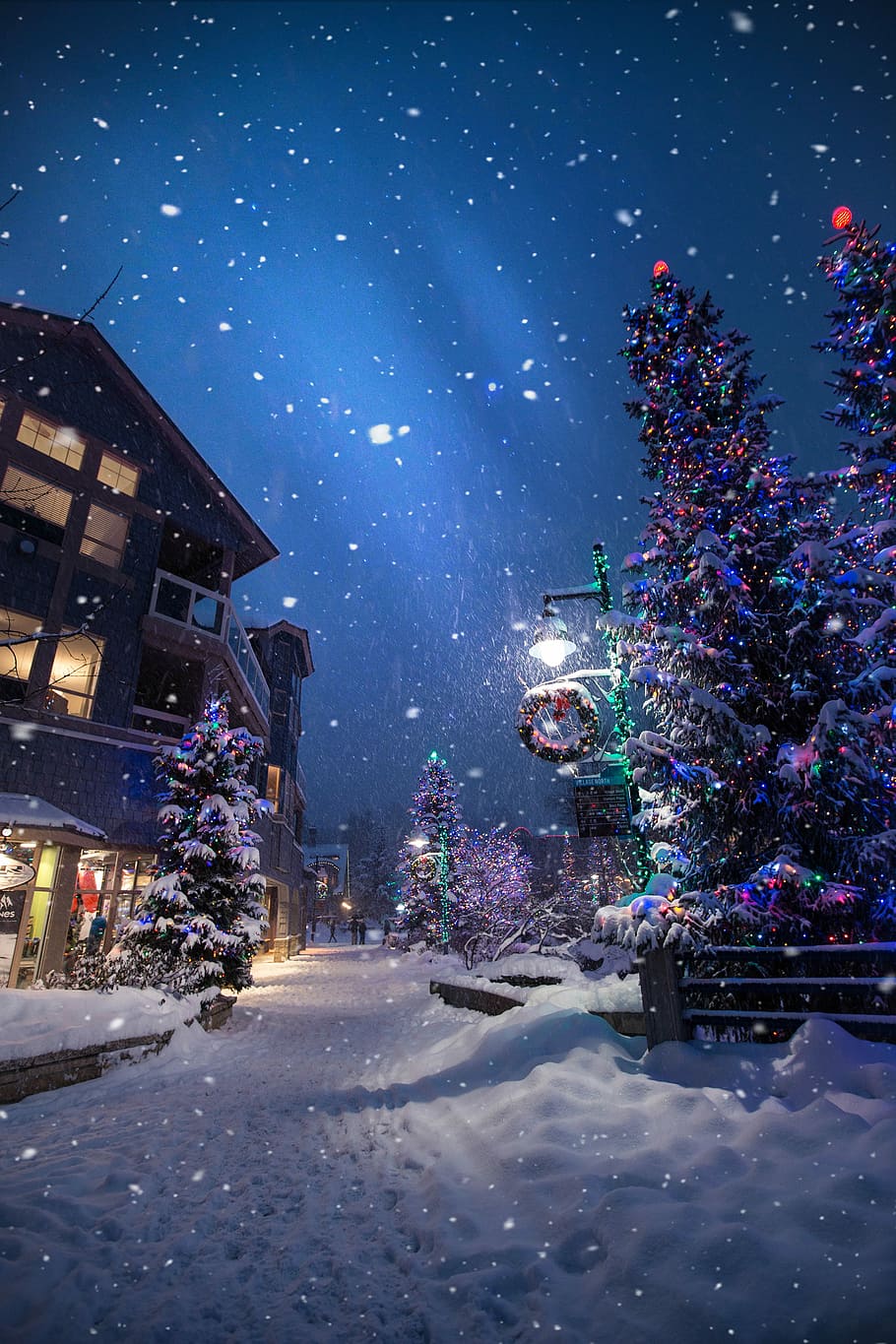 christmas village wallpaper, lighted house beside Christmas tree covered by snow
