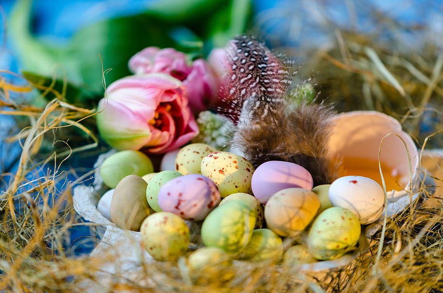happy easter, easter eggs, lay eggs, chocolate egg, chocolate eggs HD wallpaper