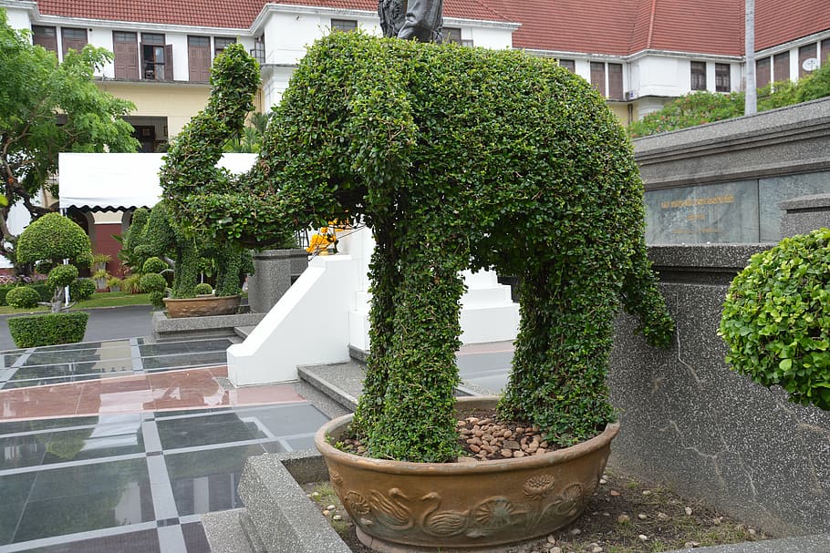 topiary, elephant, hedge, leaf, animal, design, park, green HD wallpaper