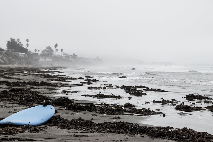 blue surfboard on sand near seashore, usa, beach, wakeboard, alone, HD wallpaper