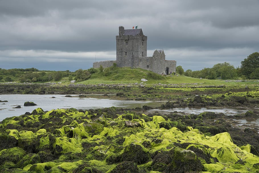 Dunguaire Castle, Co Galway, tourism, landmark, 16th century, HD wallpaper