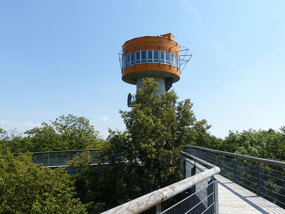 tree crown path, hainich, forest, observation tower, rondelle HD wallpaper