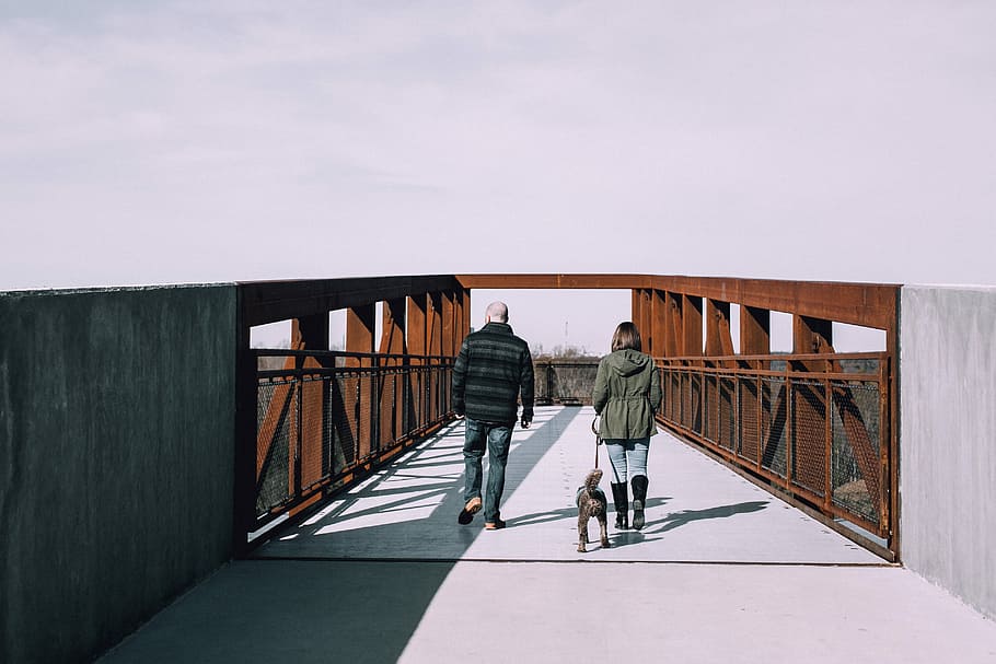 dog, man, and woman about to cross on bridge, two person walking in bridge with dog under cloudy sky HD wallpaper