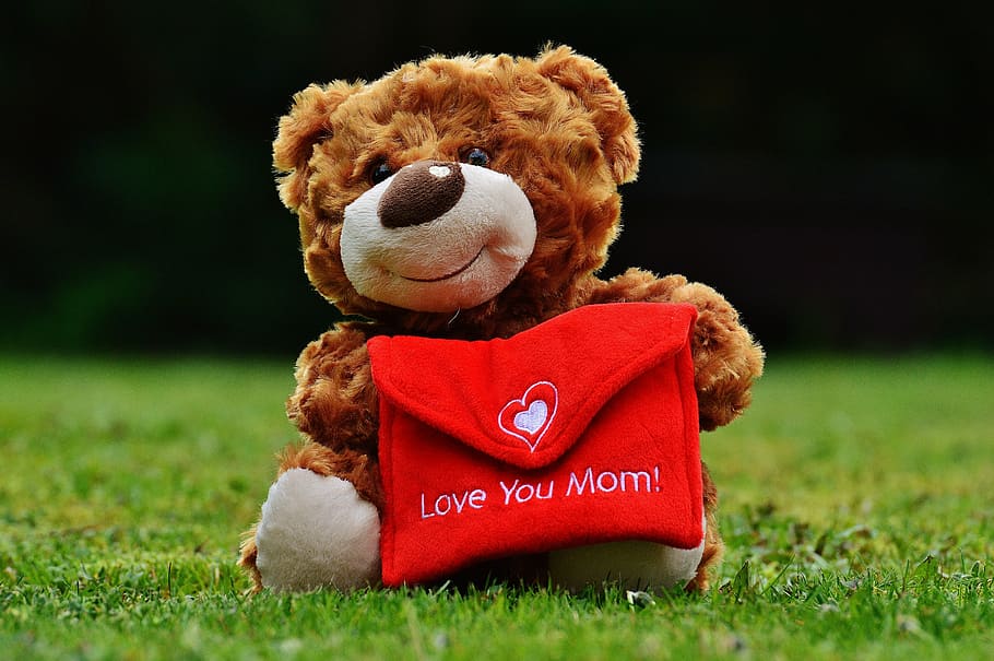 brown bear with red mail plush toy, teddy, mother's day, love, HD wallpaper