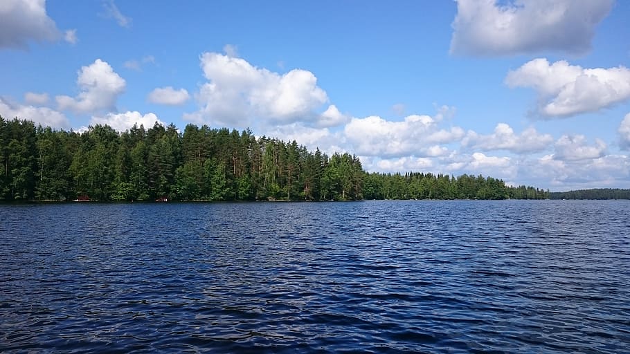 landscape, lake, beach, trees, water, finnish, nature photo HD wallpaper