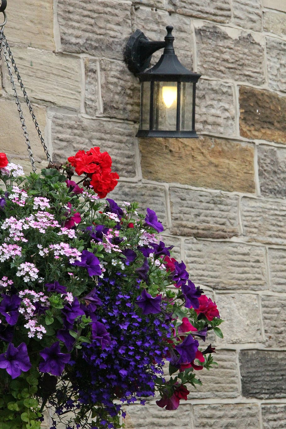 plant, stone wall, pattern, brick, rock, structure, garden HD wallpaper
