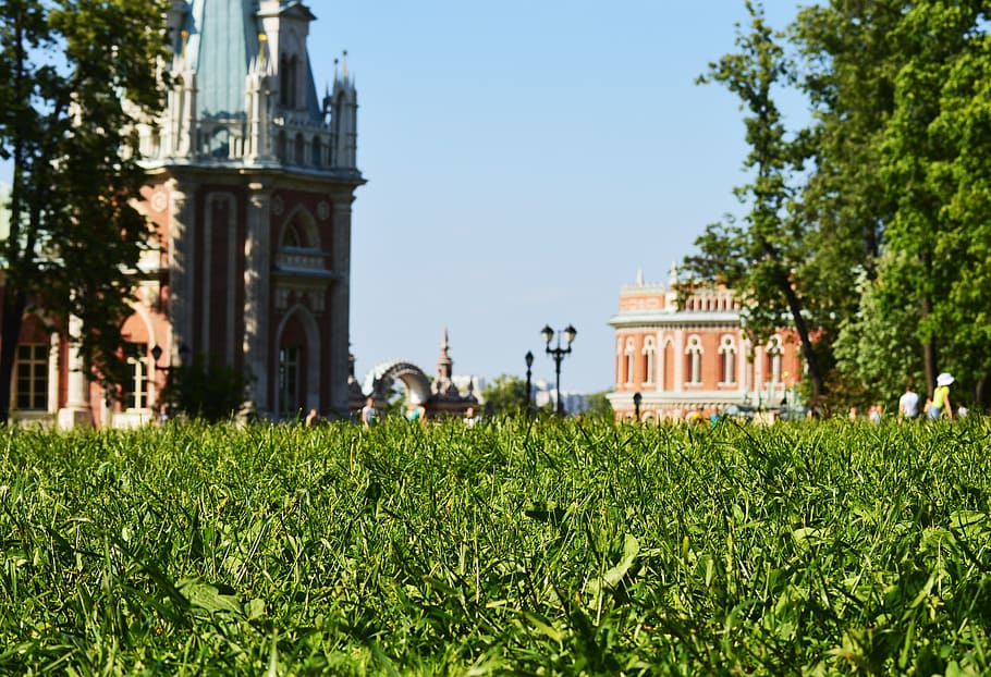 grass, park, green, summer, day, nature, outdoor, field, palace HD wallpaper